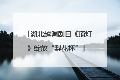 湖北越调剧目《顶灯》绽放“梨花杯”