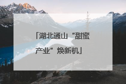 湖北通山“甜蜜产业”焕新机