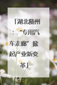 湖北随州：“专用汽车走廊”掀起产业新变革