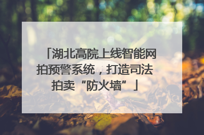 湖北高院上线智能网拍预警系统，打造司法拍卖“防火墙”