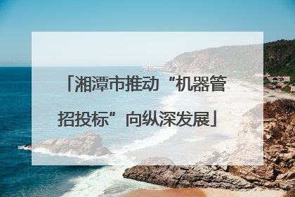 湘潭市推动“机器管招投标”向纵深发展