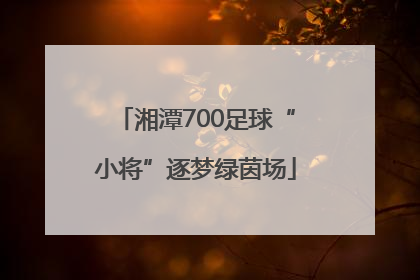湘潭700足球“小将”逐梦绿茵场