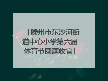 滕州市东沙河街道中心小学第六届体育节圆满收官