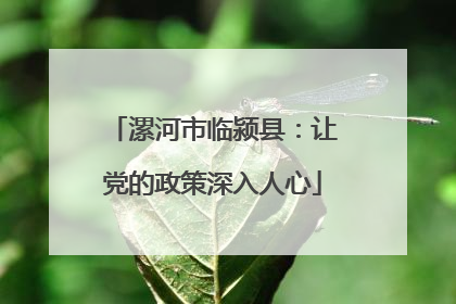 漯河市临颍县：让党的政策深入人心