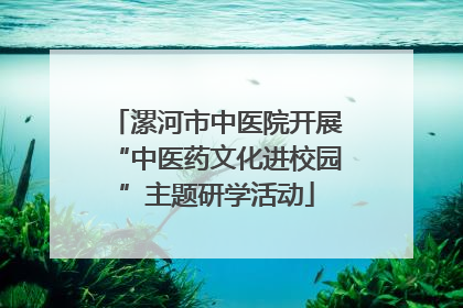 漯河市中医院开展“中医药文化进校园”主题研学活动