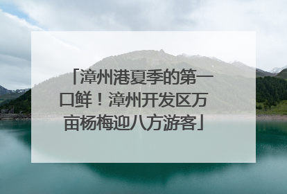 漳州港夏季的第一口鲜！漳州开发区万亩杨梅迎八方游客