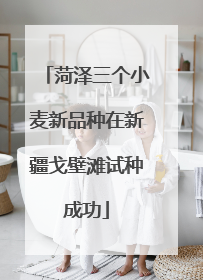 菏泽三个小麦新品种在新疆戈壁滩试种成功