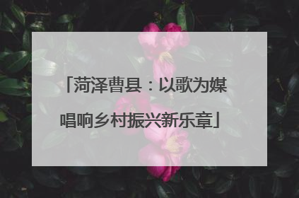 菏泽曹县：以歌为媒 唱响乡村振兴新乐章
