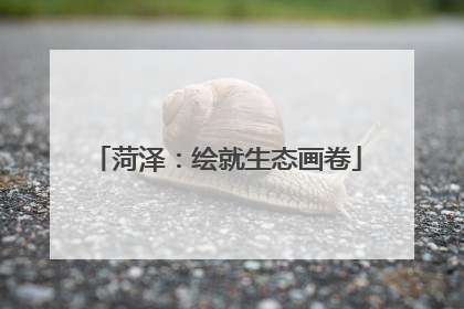 菏泽：绘就生态画卷