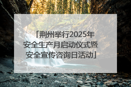 荆州举行2025年安全生产月启动仪式暨安全宣传咨询日活动