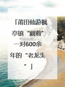 莆田仙游枫亭镇“藏着”一对600余年的“老龙头”