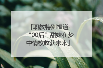 职教特别报道· “00后”甜妹在梦中情校收获未来