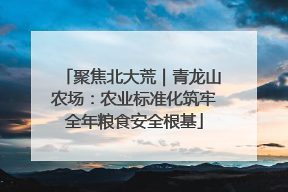 聚焦北大荒｜青龙山农场：农业标准化筑牢全年粮食安全根基