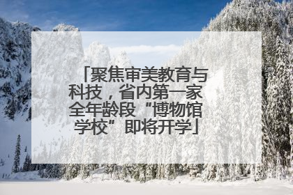聚焦审美教育与科技，省内第一家全年龄段“博物馆学校”即将开学