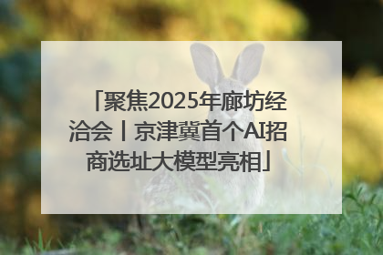 聚焦2025年廊坊经洽会丨京津冀首个AI招商选址大模型亮相