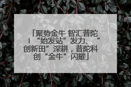 聚势金牛 智汇普陀〡“始发站”发力、“创新田”深耕，普陀科创“金牛”闪耀
