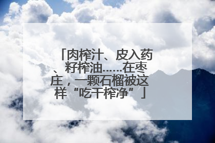 肉榨汁、皮入药、籽榨油……在枣庄，一颗石榴被这样“吃干榨净”
