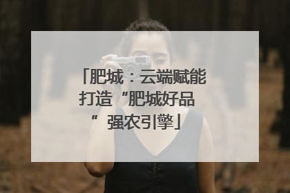 肥城：云端赋能 打造“肥城好品”强农引擎