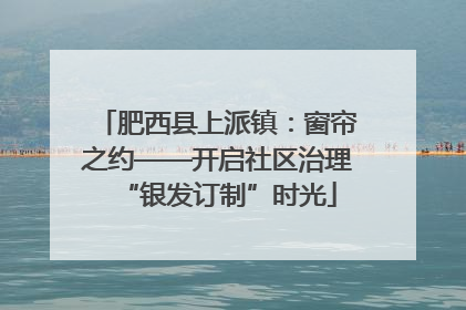 肥西县上派镇：窗帘之约——开启社区治理“银发订制”时光