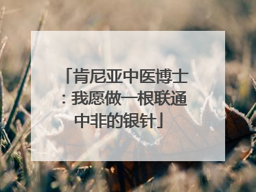 肯尼亚中医博士：我愿做一根联通中非的银针