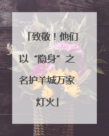 致敬！他们以“隐身”之名护羊城万家灯火