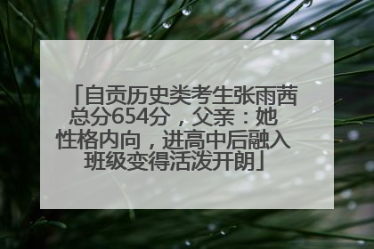 自贡历史类考生张雨茜总分654分，父亲：她性格内向，进高中后融入班级变得活泼开朗