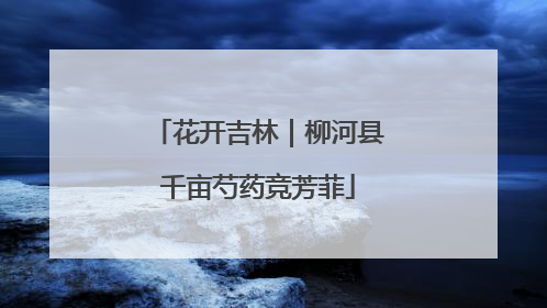 花开吉林｜柳河县千亩芍药竞芳菲