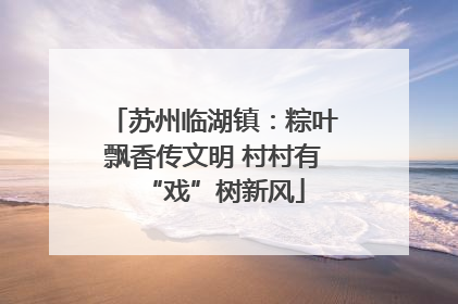 苏州临湖镇：粽叶飘香传文明 村村有“戏”树新风
