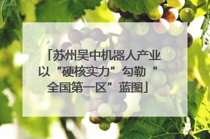 苏州吴中机器人产业以“硬核实力”勾勒“全国第一区”蓝图
