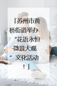 苏州市黄桥街道举办“花语永恒·微景大观”文化活动！
