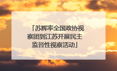 苏辉率全国政协视察团到江苏开展民主监督性视察活动