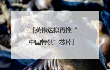 英伟达拟再推“中国特供”芯片