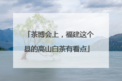 茶博会上，福建这个县的高山白茶有看点