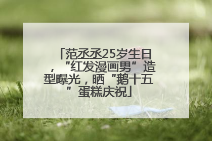 范丞丞25岁生日，“红发漫画男”造型曝光，晒“鹅十五”蛋糕庆祝