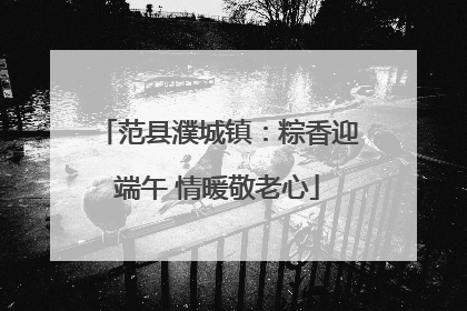 范县濮城镇：粽香迎端午 情暖敬老心