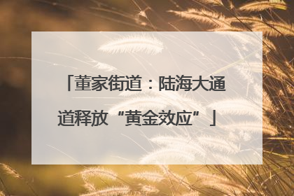 董家街道：陆海大通道释放“黄金效应”