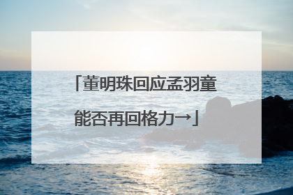 董明珠回应孟羽童能否再回格力→