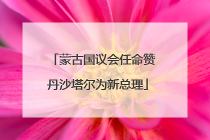 蒙古国议会任命赞丹沙塔尔为新总理
