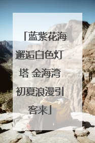 蓝紫花海邂逅白色灯塔 金海湾初夏浪漫引客来