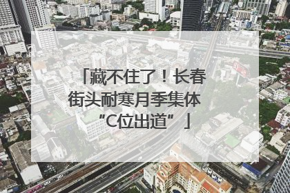 藏不住了！长春街头耐寒月季集体“C位出道”