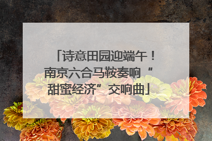诗意田园迎端午！南京六合马鞍奏响“甜蜜经济”交响曲