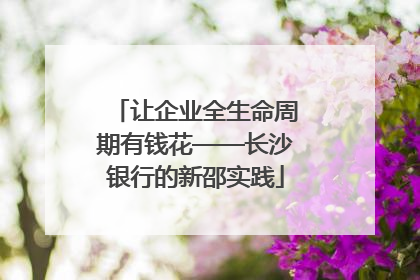 让企业全生命周期有钱花——长沙银行的新邵实践
