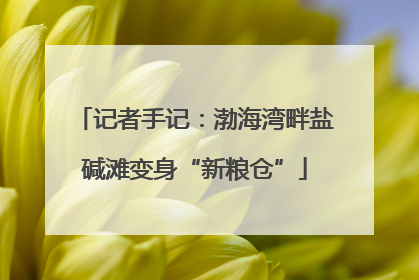记者手记：渤海湾畔盐碱滩变身“新粮仓”