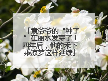 袁爷爷的“种子”在丽水发芽了！四年后，他的禾下乘凉梦这样延续