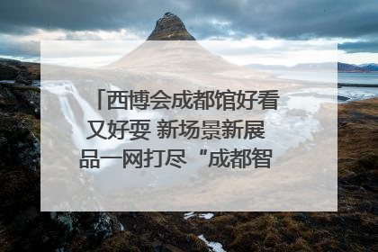西博会成都馆好看又好耍 新场景新展品一网打尽“成都智造”｜西博视界