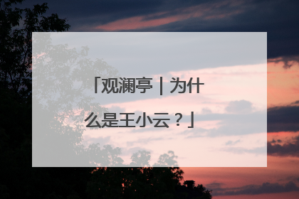 观澜亭｜为什么是王小云？