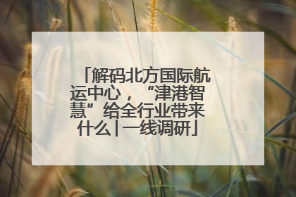 解码北方国际航运中心，“津港智慧”给全行业带来什么│一线调研