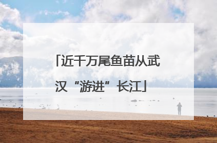近千万尾鱼苗从武汉“游进”长江
