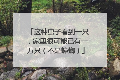 这种虫子看到一只，家里很可能已有一万只（不是蟑螂）
