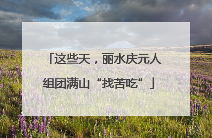 这些天，丽水庆元人组团满山“找苦吃”